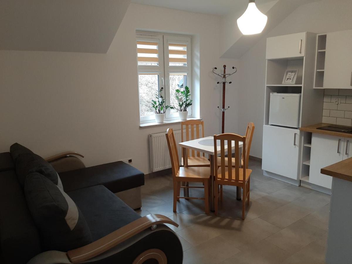 Apartamenty Willa Pogoń Krynica-Zdrój Zewnętrze zdjęcie